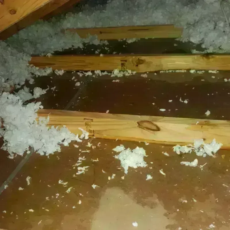 Attic Water Damage in Waldoboro, ME